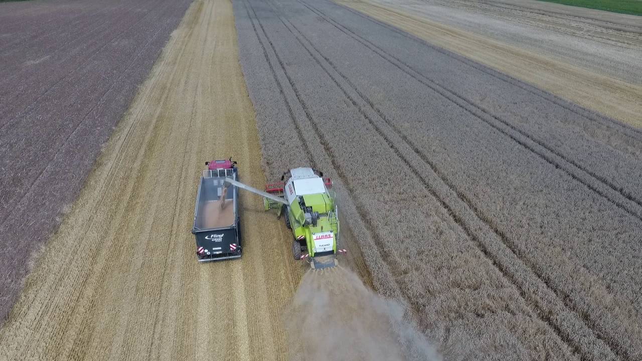 Schmittla beim Dreschen in Limbach 1 DJI Phantom 4 1080p raw unedited