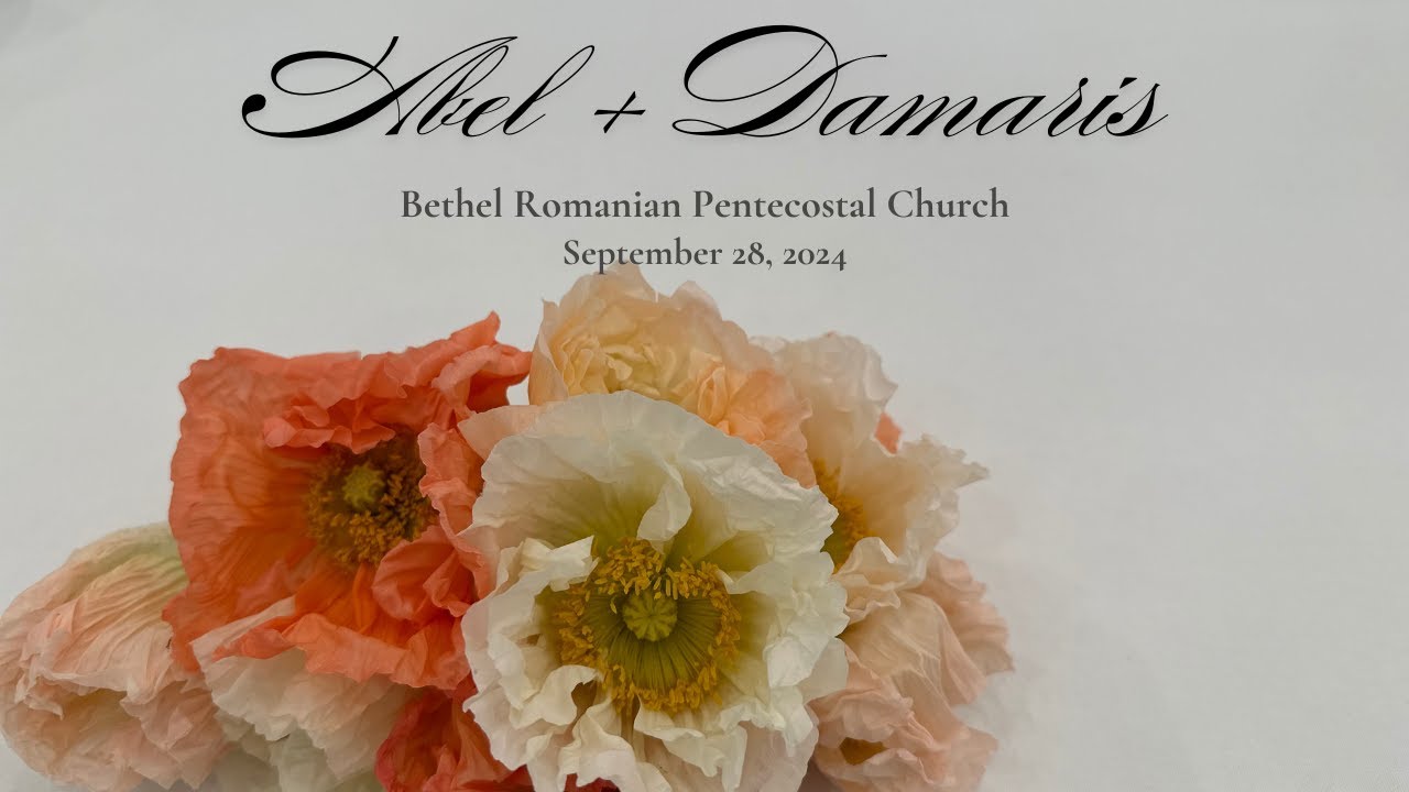 Wedding Ceremony - Abel Felecan & Damaris Patrascu