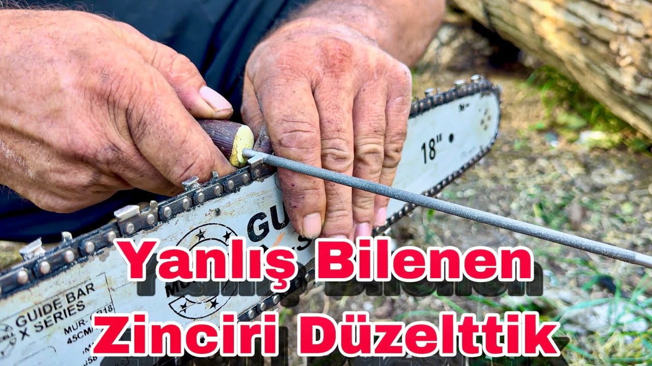 Yanlış Bilenen Motorlu Testere Zinciri  Nasıl Bilenir ?