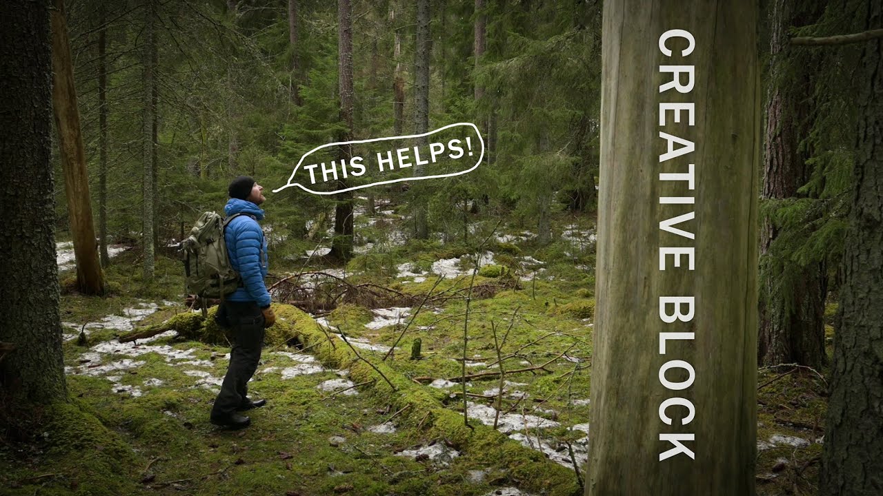 How I handle a Creative Block | Wildlife and Landscape Photography