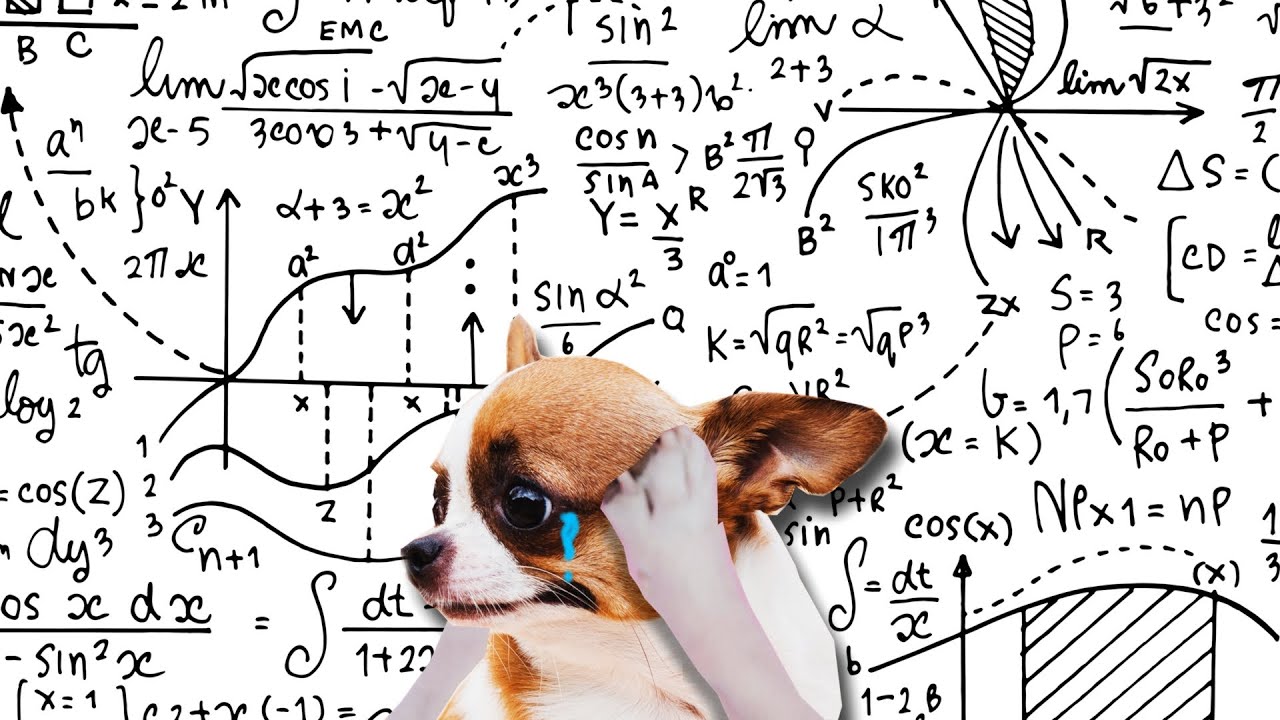 Wie berechne ich den inneren Wert einer Aktie? 📈 (Einfache Erkl&auml;rung mit Beispiel)