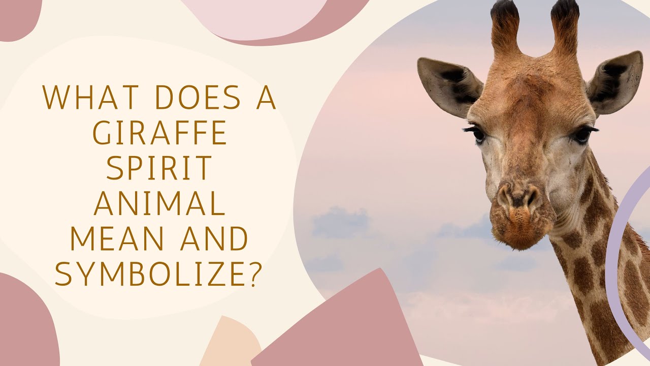 What Does A Giraffe Spirit Animal Mean and Symbolize?