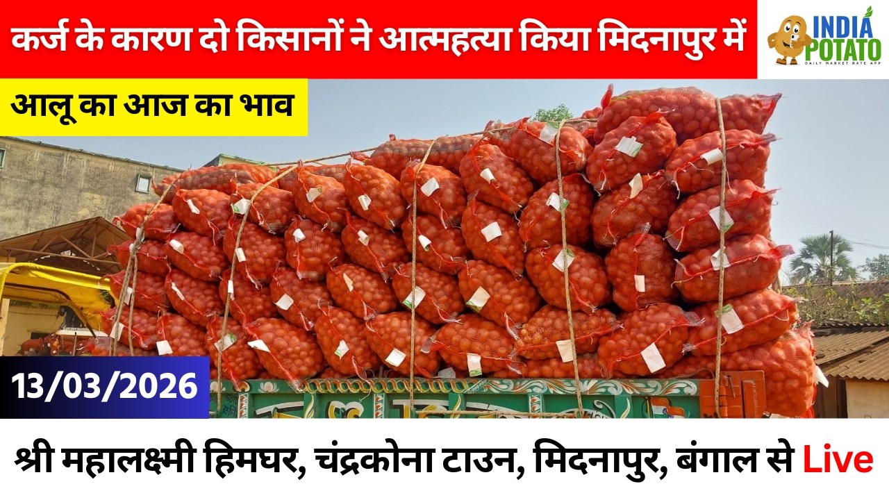 13/03/2026 : बंगाल की चंद्रकोना टाउन का आज का आलू का भाव | Potato Price in CK Town - India Potato