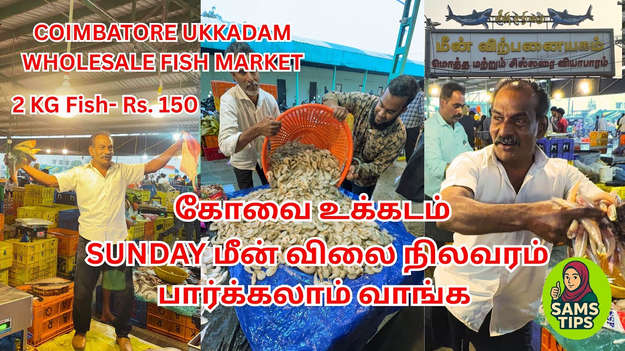 2 Kg fish Rs.150| உக்கடம் இன்றைய மீன் விலை நிலவரம்| Coimbatore Ukkadam Wholesale fish Market 