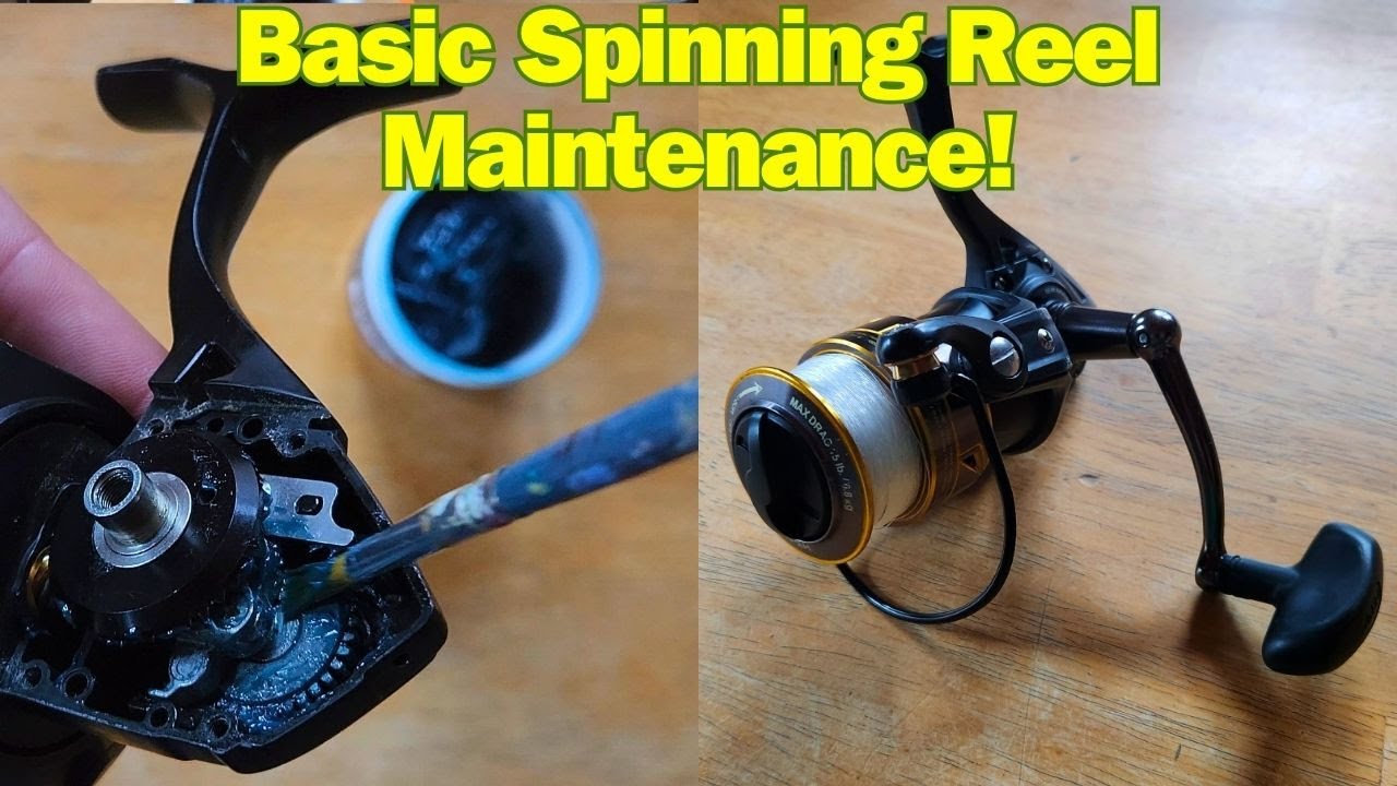 How To PROPERLY Oil and Grease Your Spinning Reel!