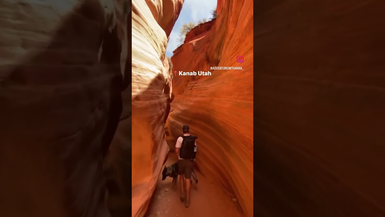 Dog friendly slot canyon in Utah! 