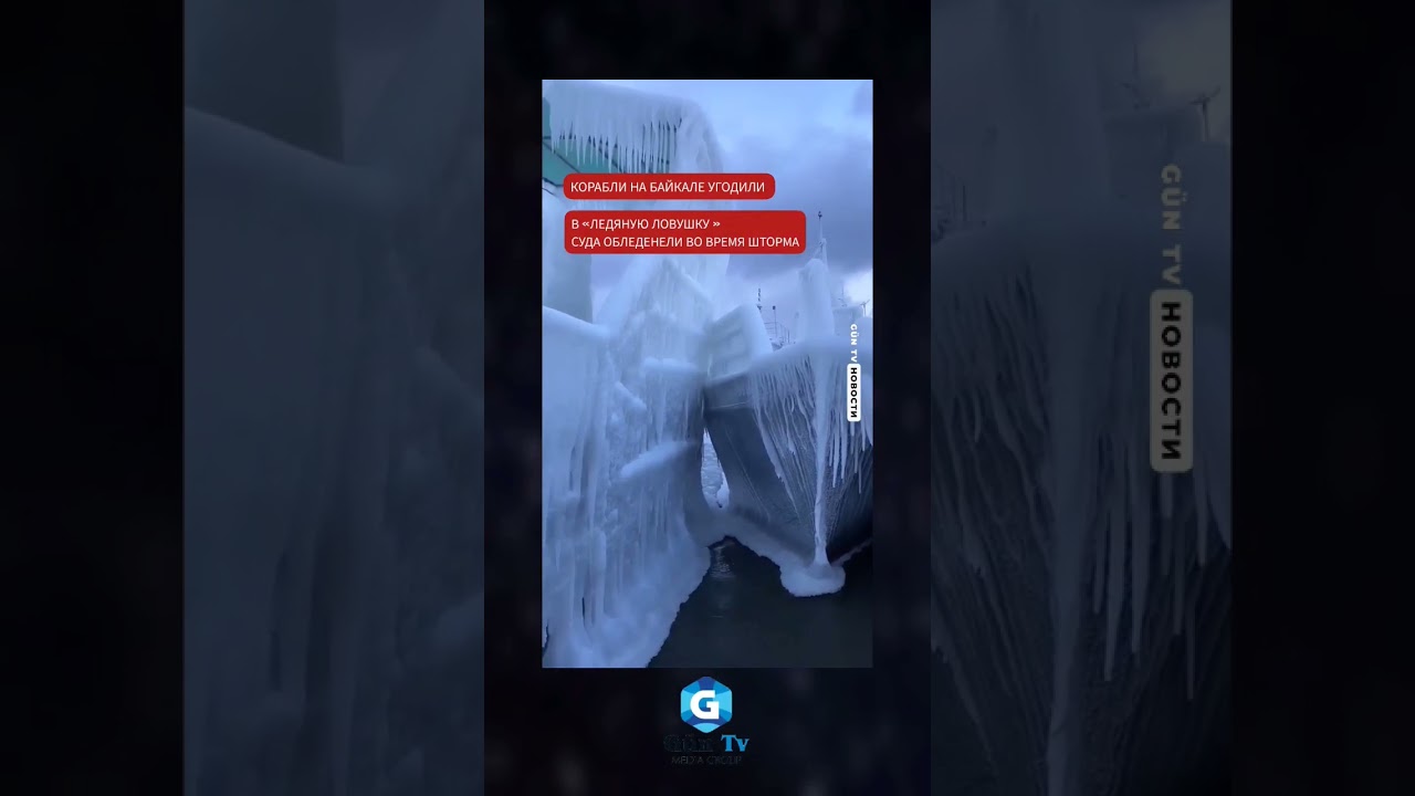 Обледенели во время шторма. #xəbər #guntv