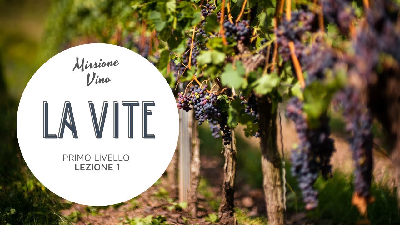 Lezione 1: La vite