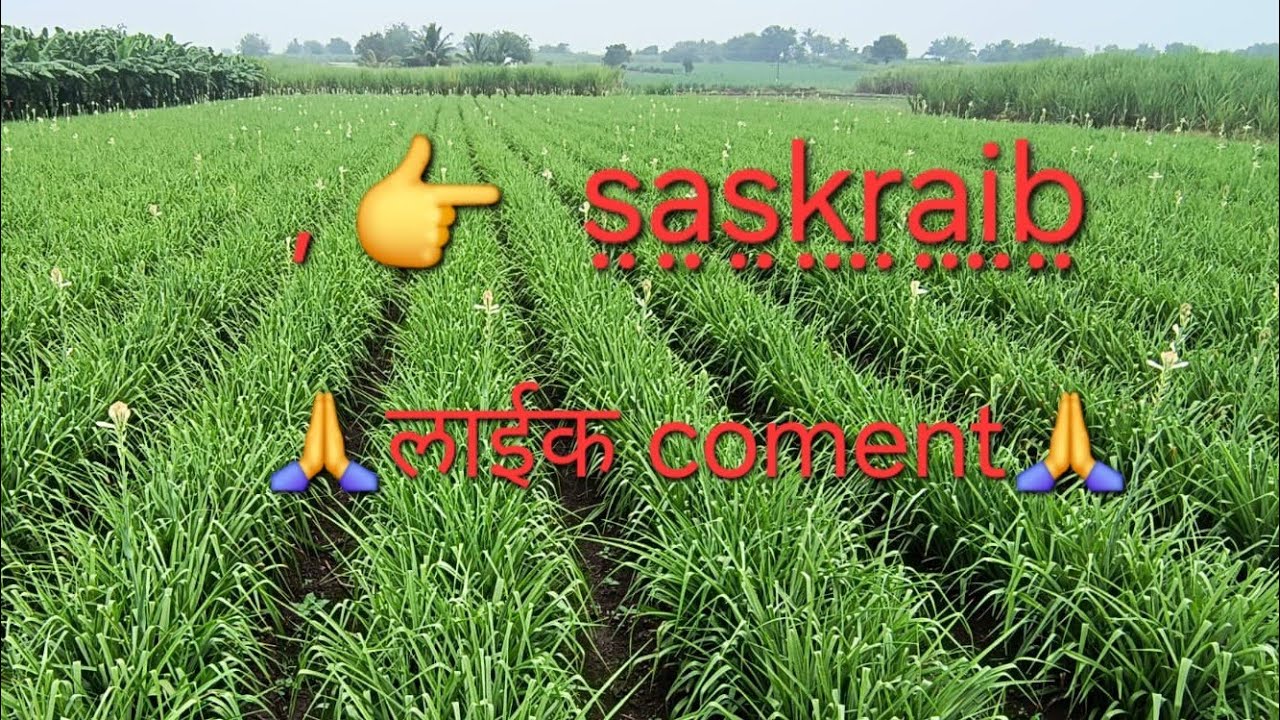 shivshakti seva fharming vlogs is live! देखते है किसका है तेज दिमाग जो देगा सवाल का सही जवाब🤔🤔