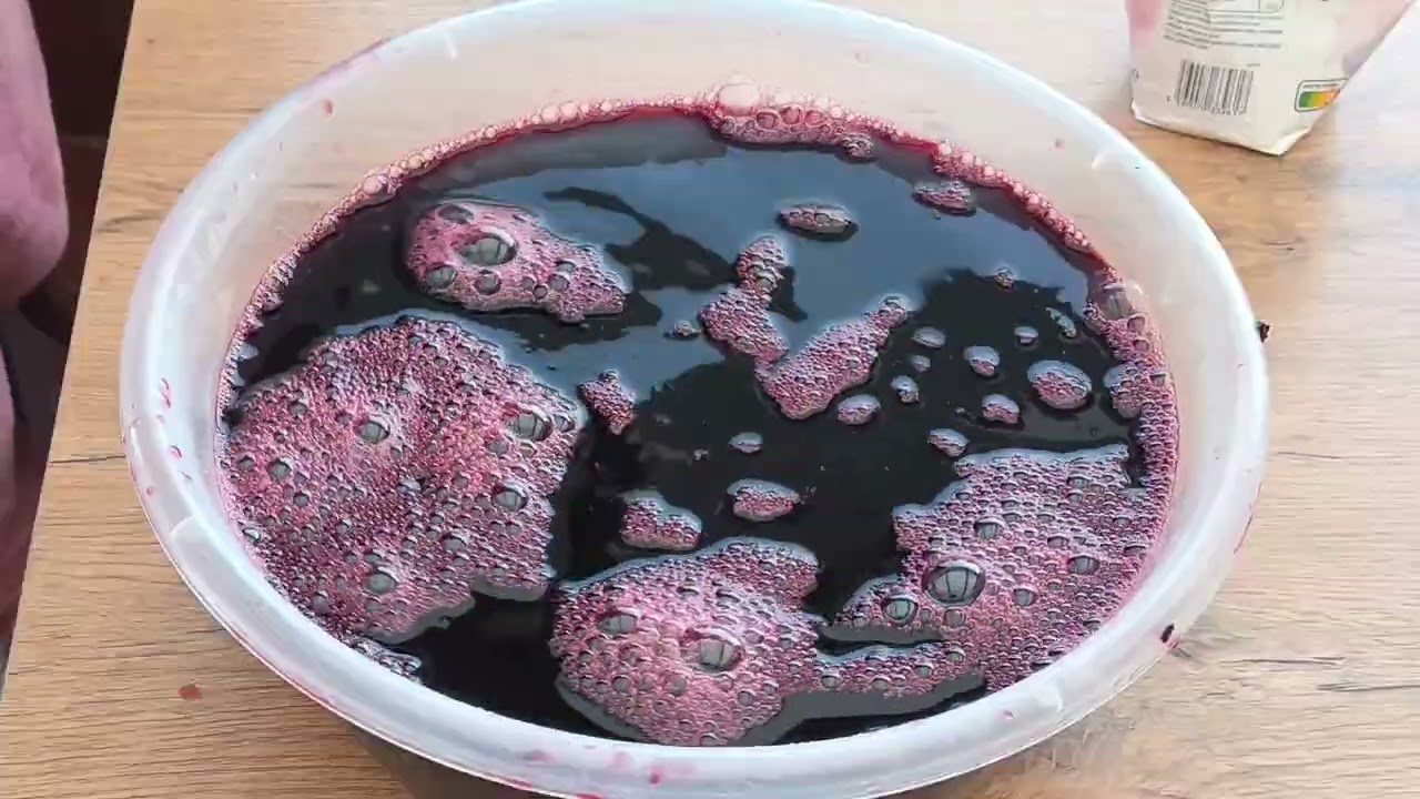 Tu as déjà goûté la boisson rouge qui rend tout le monde accro le bissap