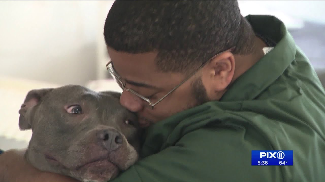Inmates train rescue dogs with `Paws of Purpose` program on Rikers Island