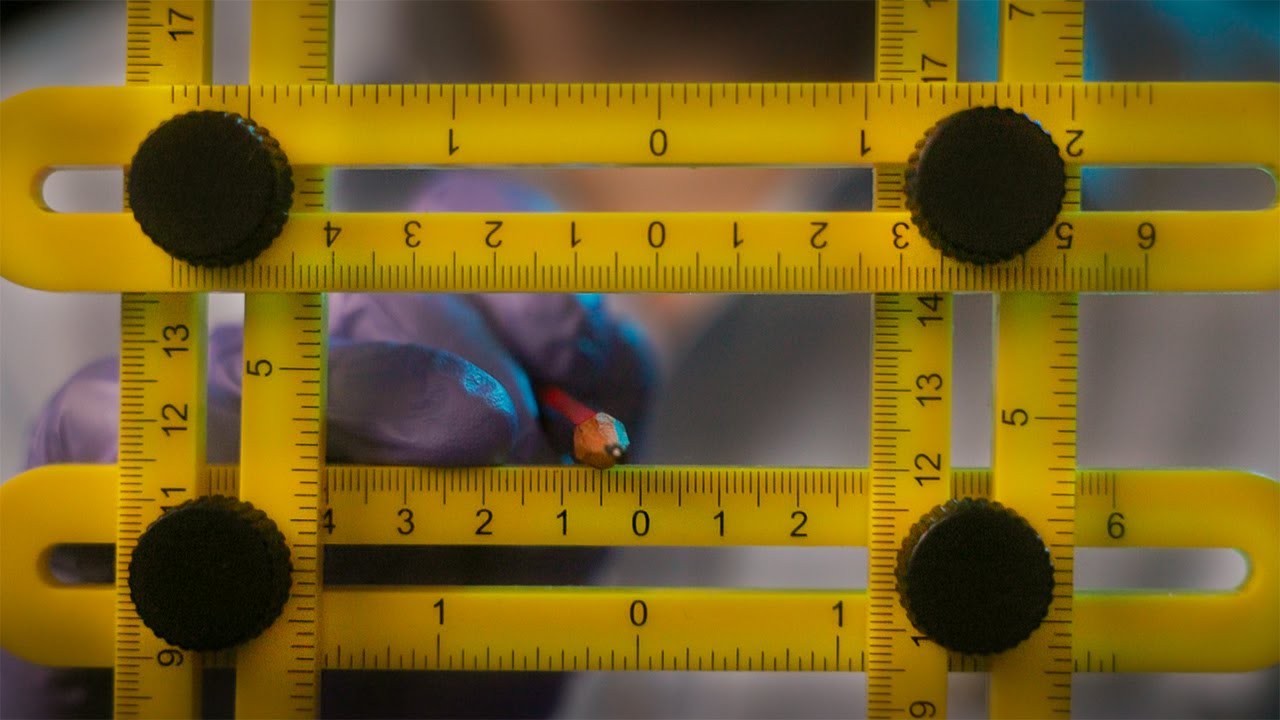 Unintelligible ASMR | Measuring Your Face