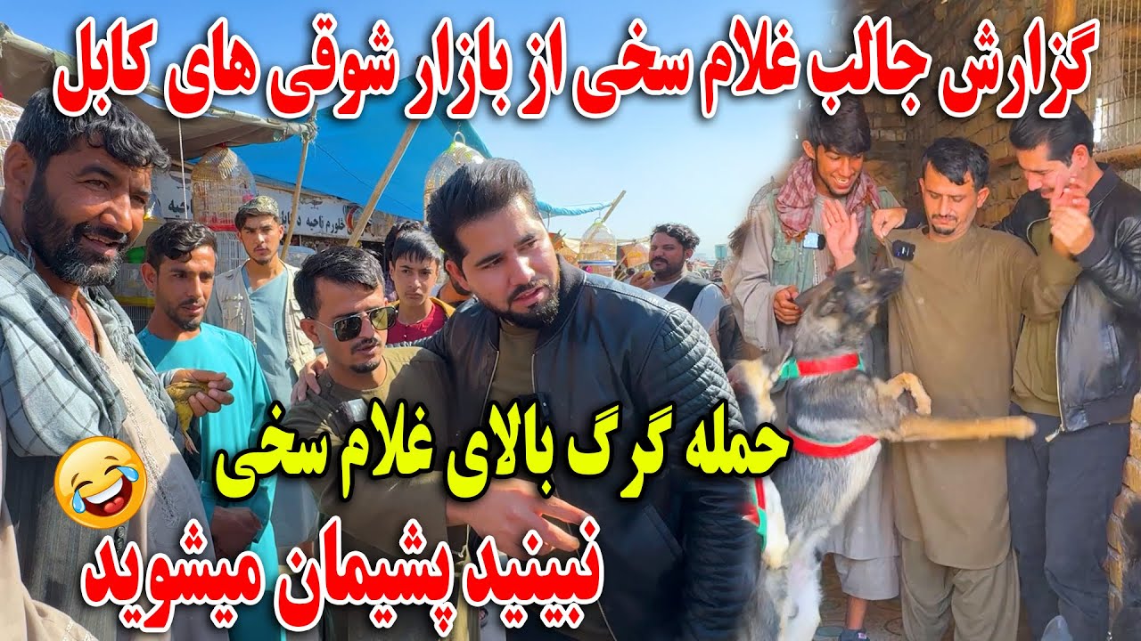 گزارش جالب غلام سخی از بازار شوقی های کابل - حمله گرگ بالای غلام سخی نبینید پشیمان می شوید😂