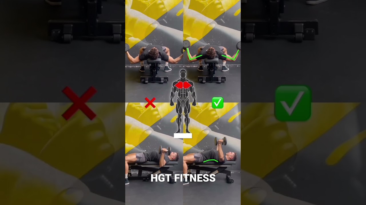 flat bench dumbbell fly