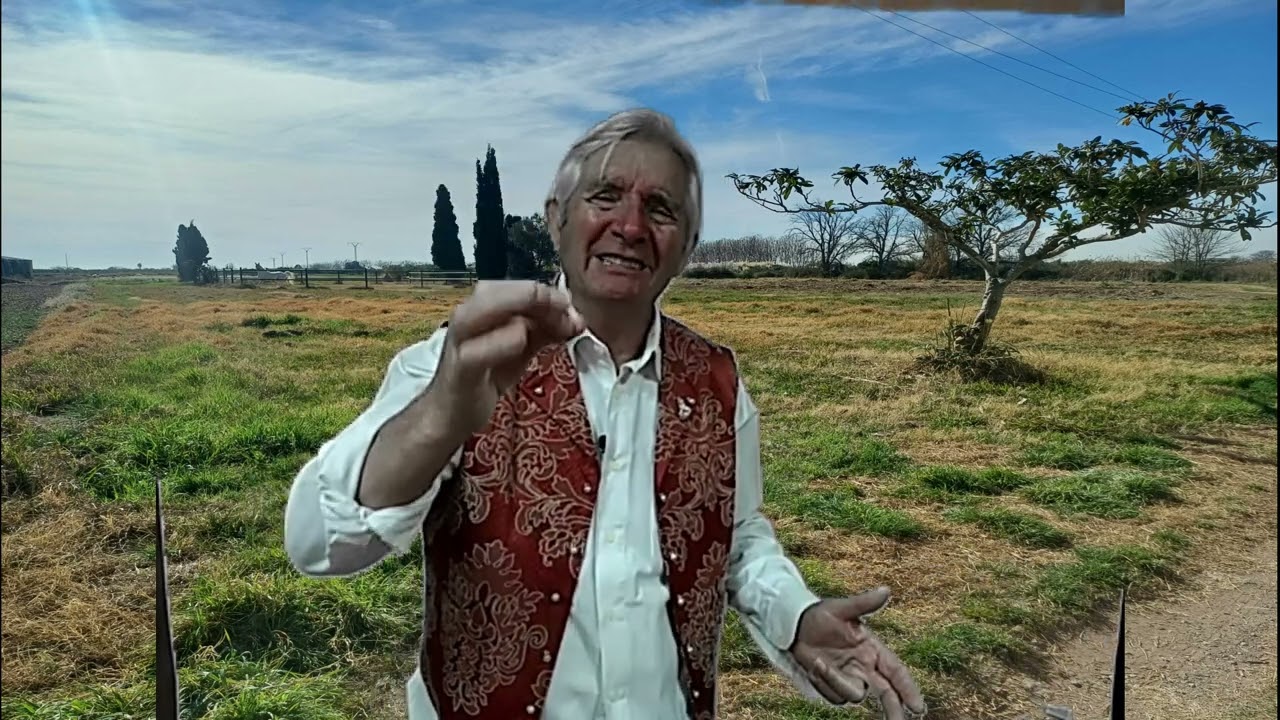 Vicente Ribelles Poesía ALBAES I VALENCIANES