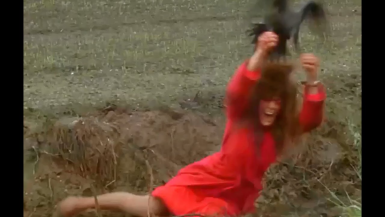 1978 - Damien: Omen 2 - Evil Bird viciously attacks Reporter who knows Damien is the Antichrist