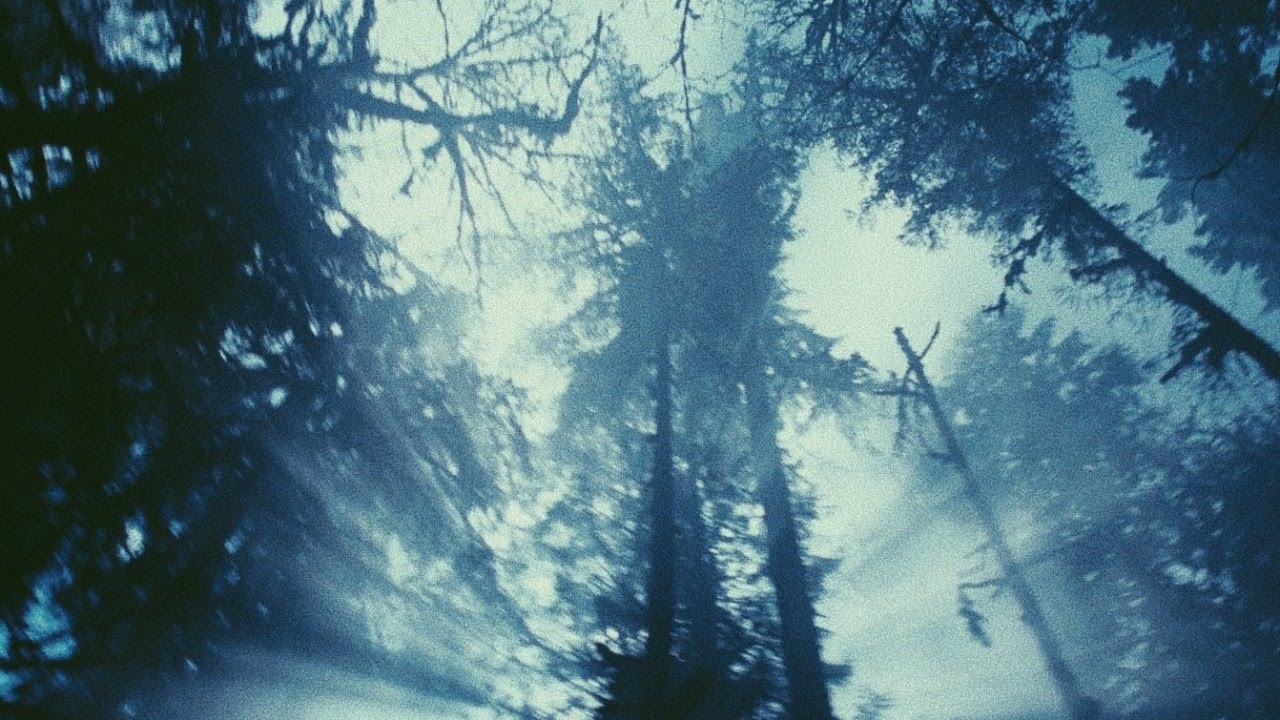 how i would die (extended version) - twilight ost