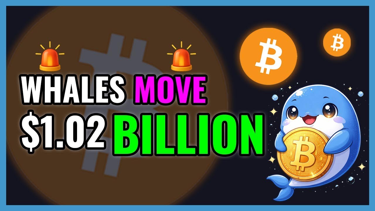 BTC Whales Just Moved $1.02 BILLION!🚨WHALE ALERT