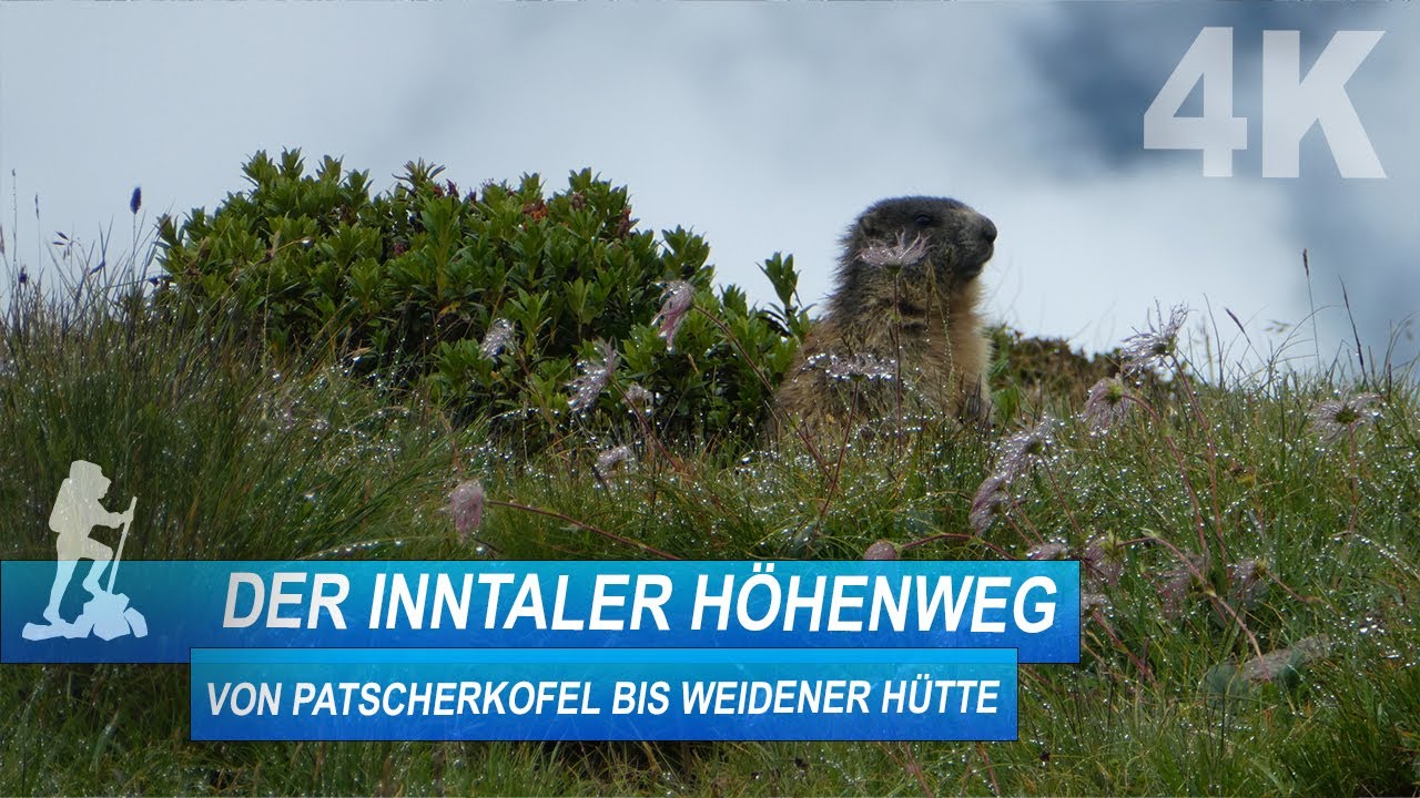 Inntaler Höhenweg | Von Patscherkofel bis Weidener Hütte