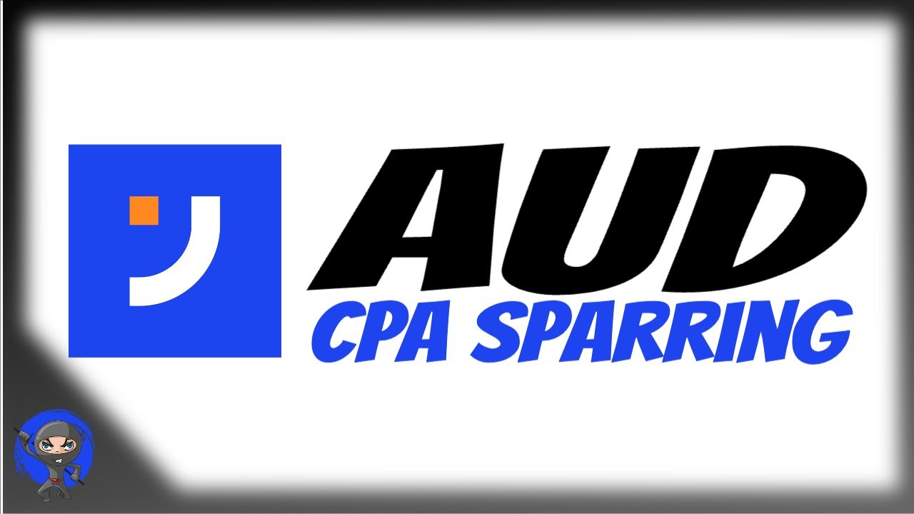 Экзамен AUD CPA - Кодекс профессиональной этики AICPA (NINJA CPA)