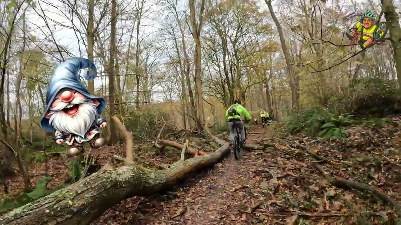 pour une fois pas de chute