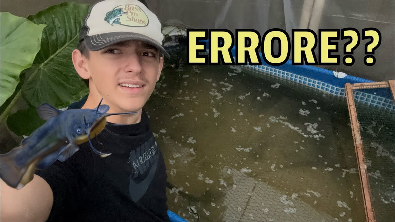 Metto la SABBIA nella piscina di 2000 litri dei PESCI PREDATORI