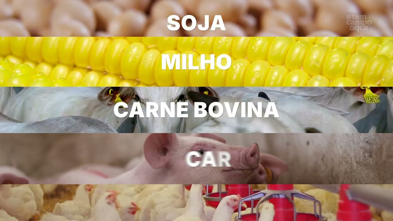 Tem Campo Aqui | Dia do Agronegócio