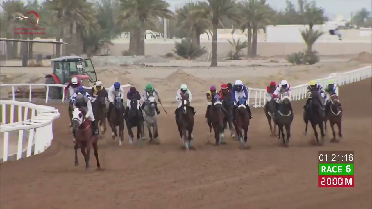 المهرة سفيرة عبري من انتاج مربط عبري تحقق الفوز في سباق الخيل بتاريخ ٨ فبراير ٢٠٢٤