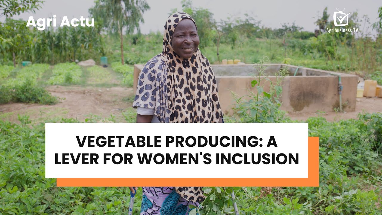 Agri Actu: Vegetable producing, a lever for women's inclusion