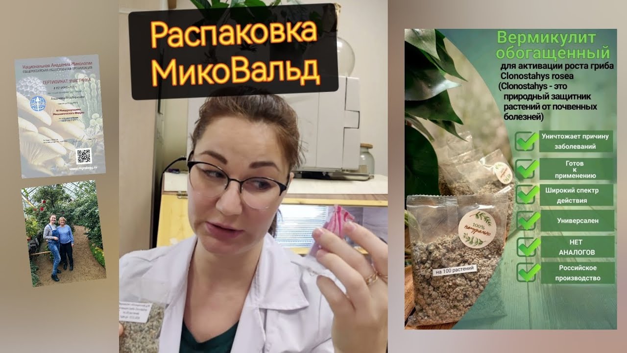 Распаковка МикоВальд гриб Clonostahys. Разбор инструкции МикоВальд.