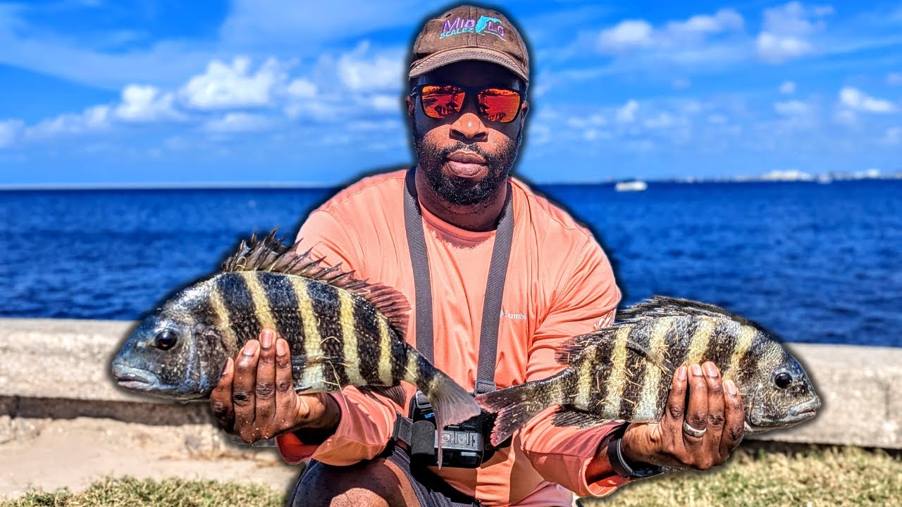 Sheepshead Fishing ESSENTIALS You NEED To Catch More Fish