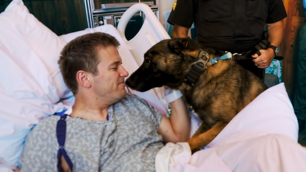 The dog saved the police officer's life. A heroic story.