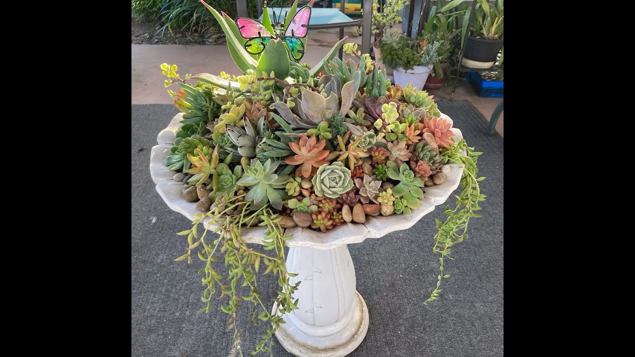 Repurposed Water Fountain