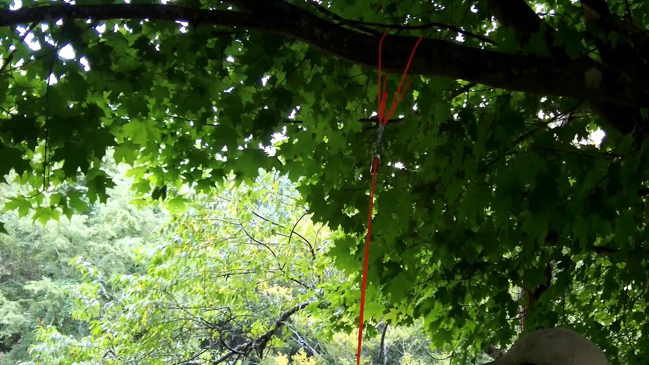 DIY Ultralight Big Game Hoist