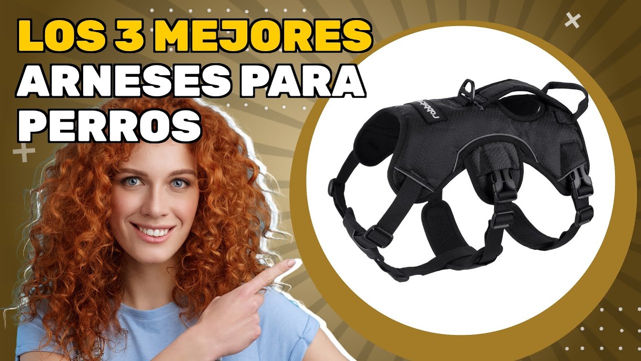 Los 3 mejores arneses para perros 2025: comparaci&oacute;n sencilla para una elecci&oacute;n segura