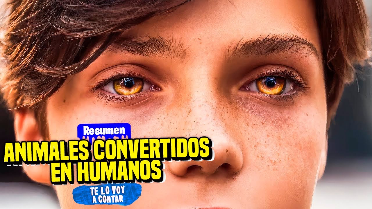 UN NIÑO QUE PUEDE TRANSFORMARSE EN PUMA SE UNE A UNA ESCUELA PARA GENTE CON SUPERPODERES | RESUMEN