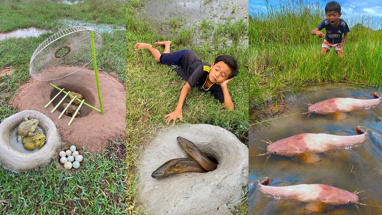 Survival Skills: SIMPLE and USEFUL with Fish trapping tool #survival #bushcraft #fishing #funny
