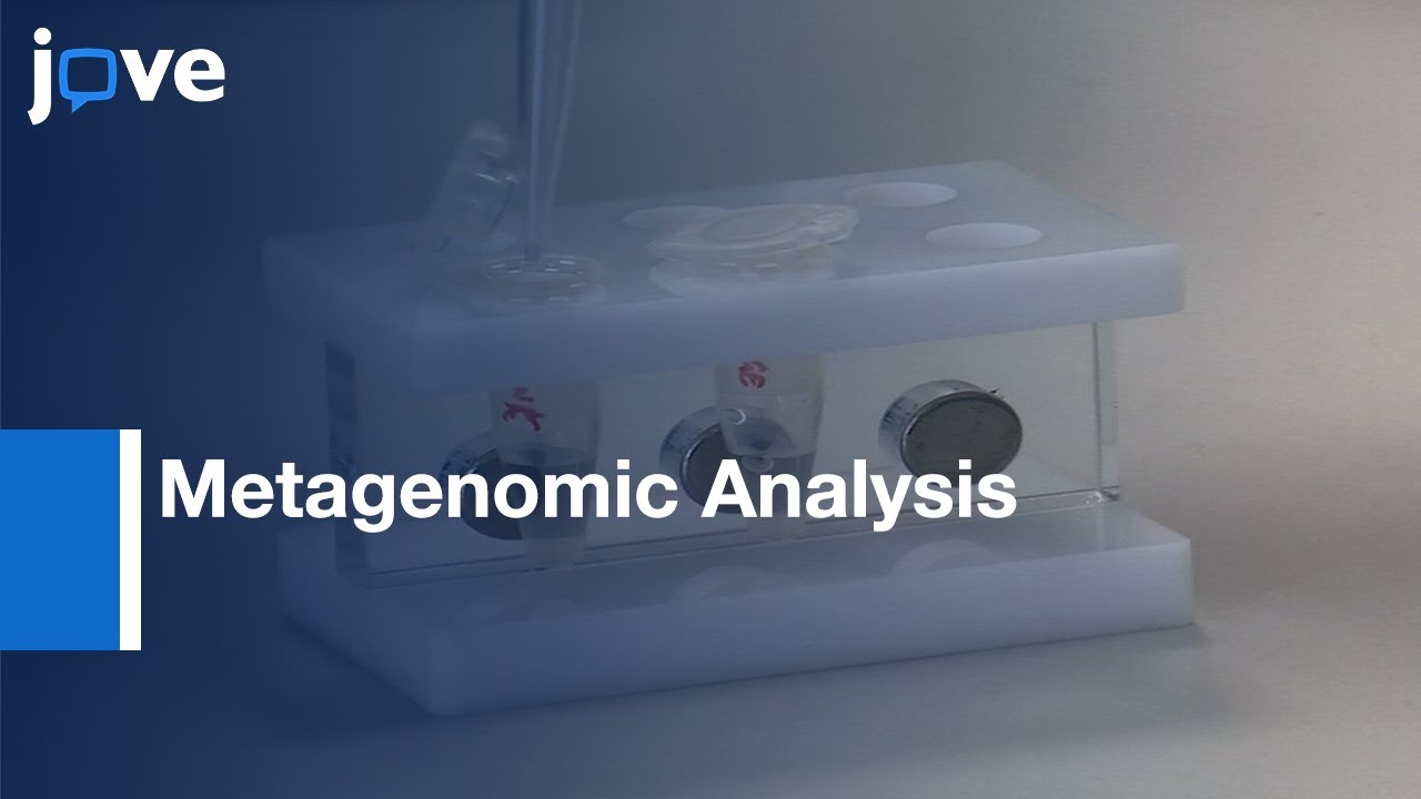 Metagenomic Analysis of Silage | Protocol Preview