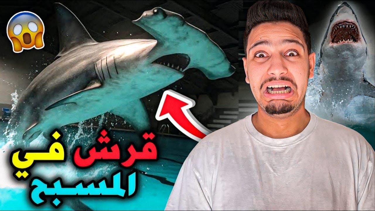 هاجمني قرش داخل المسبح🦈😱حاول أكلي😭-Sharks and Minnows