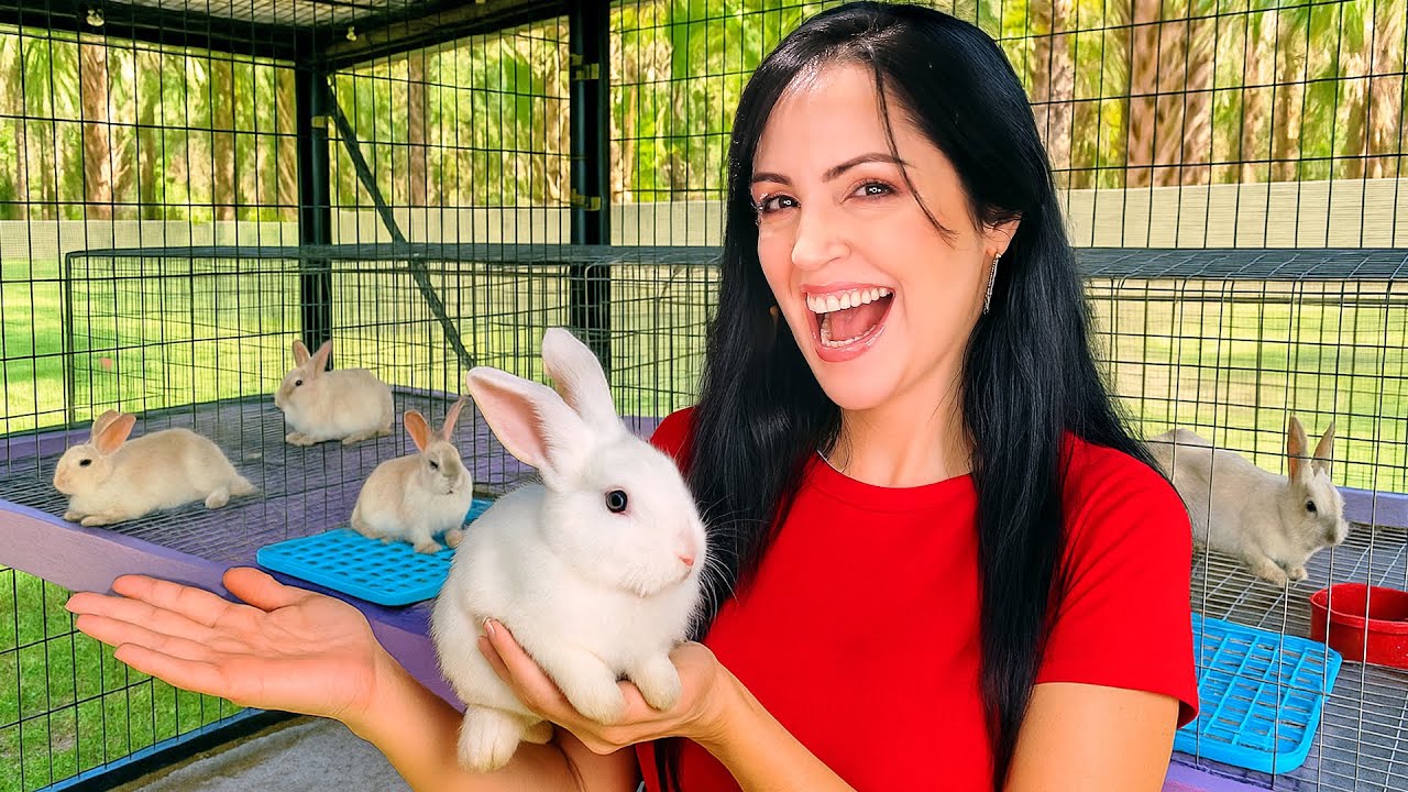 Los Conejos Ya Tienen Casa en el Bosque 🏡🐰 La Finquita Bonita