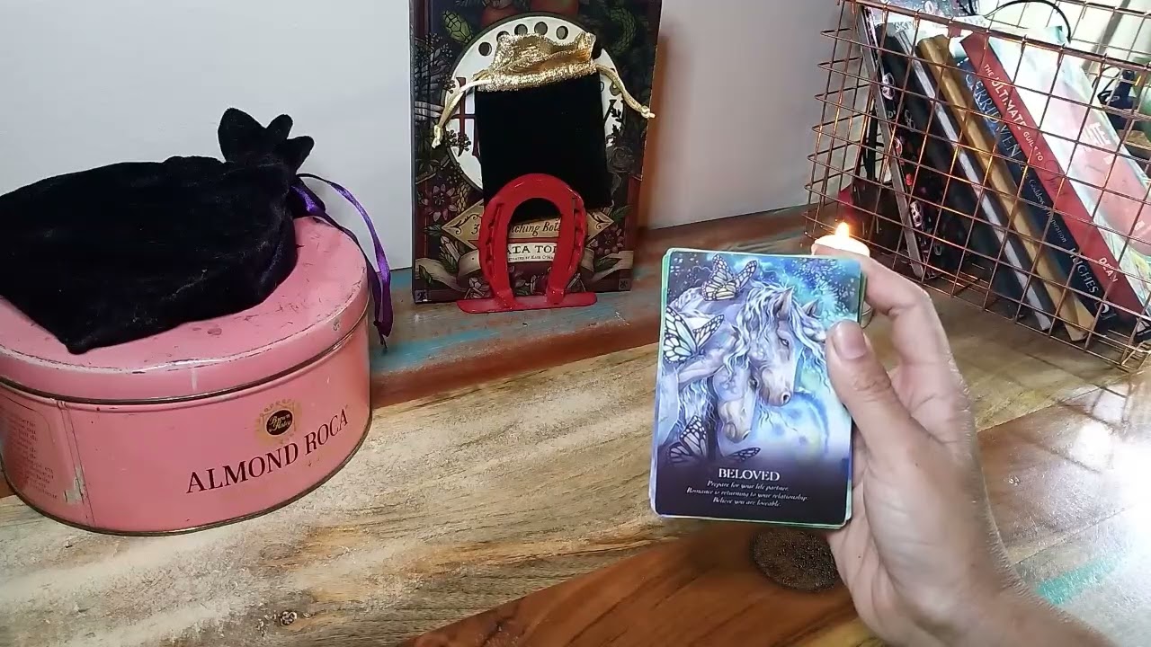Monday Oracle Card Reading ✨Love, Self-Worth & Spiritual Signs (Butterflies Meaning)