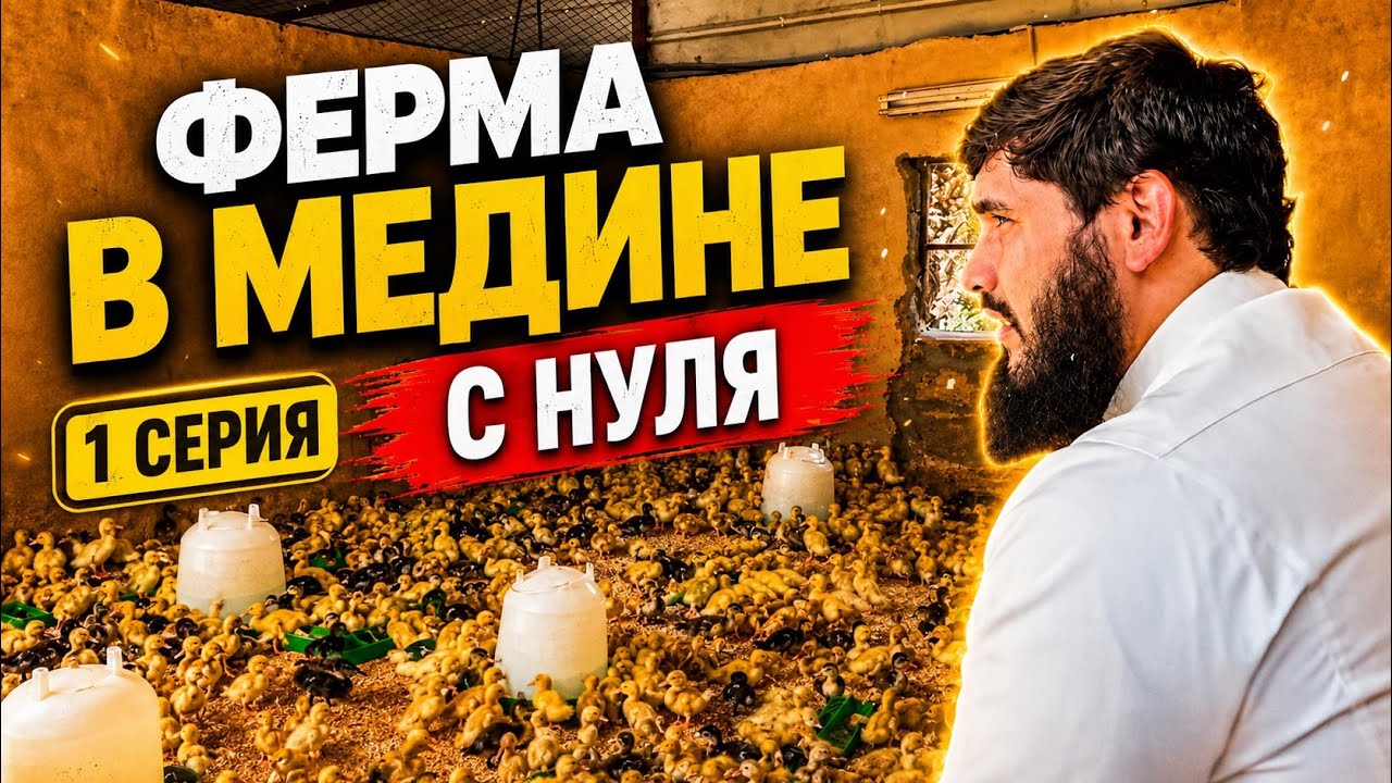 Бизнес в Медине на птицах | Серия 1