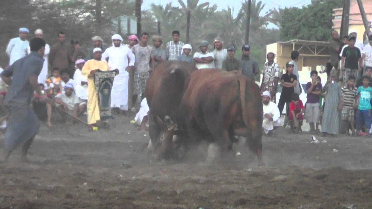 الجمر & السهم ..HD ..... موقع النيروز