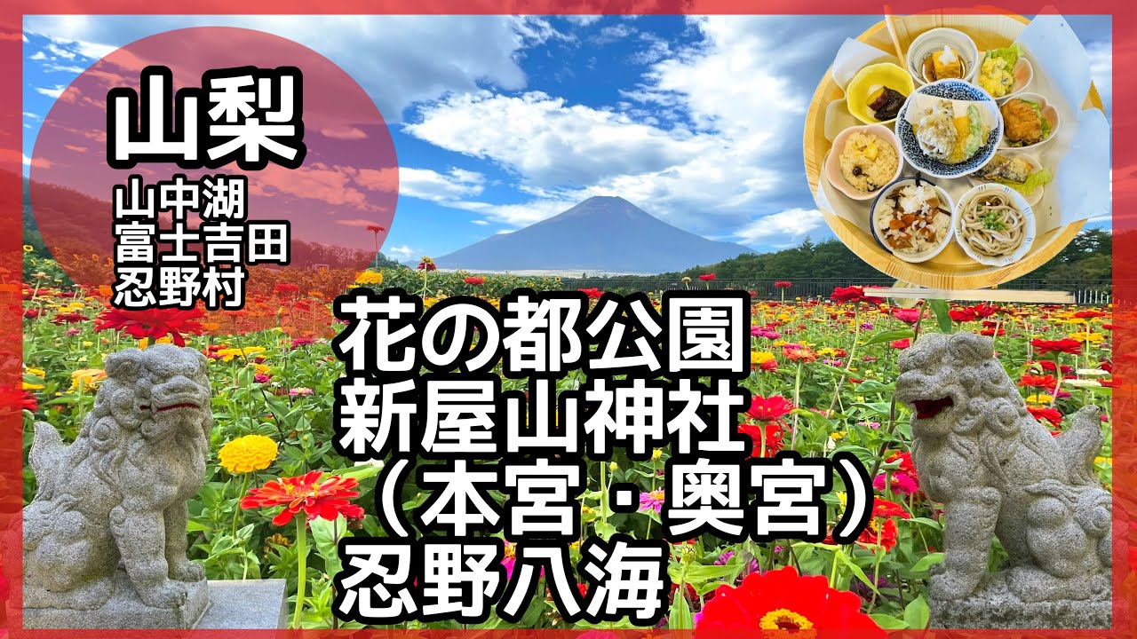【山梨】山中湖花の都公園💐と新屋山神社⛩️✨