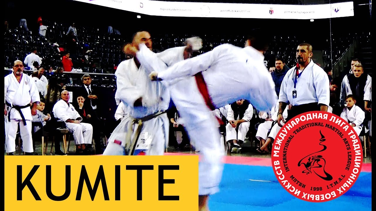 Igor Mirutenko. Kumite. World Championship Fudokan Karate 2017
