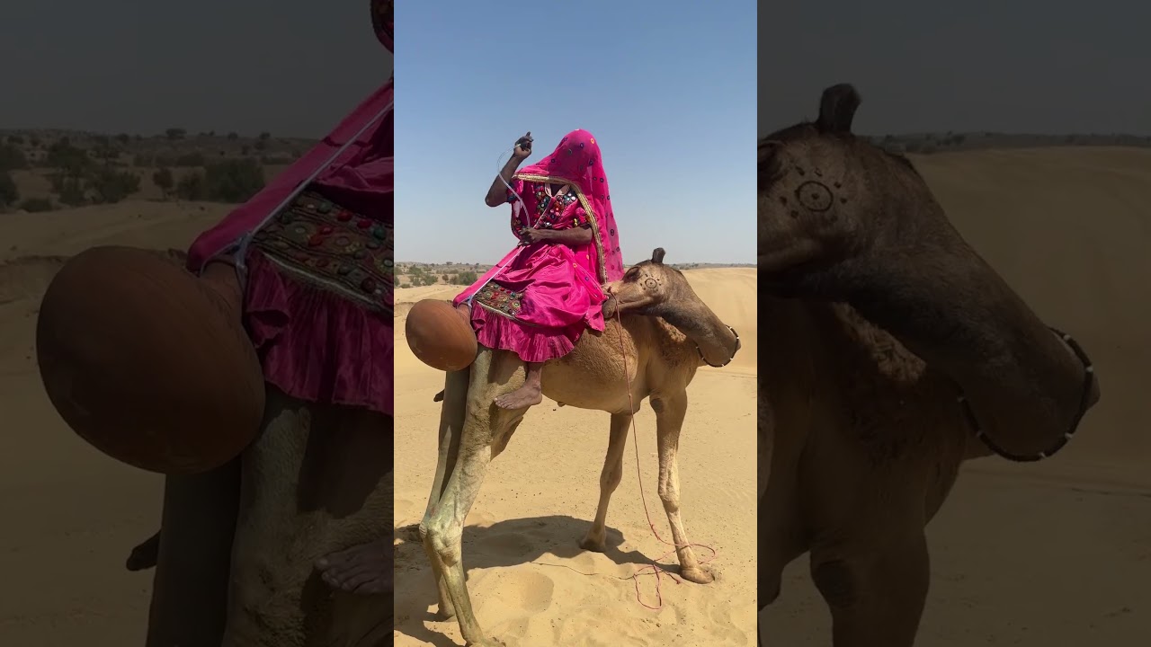 جمل منهك من الحر وبالون أسود عالق في ذيله، صورة حقيقية لمصاعب الحياة القروية 🐪🌵💔
