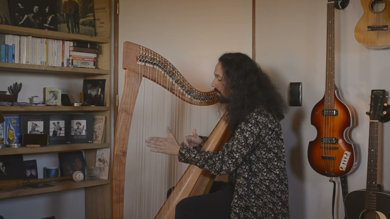 JUST LIKE - Franz Robert WILD & Coriolan