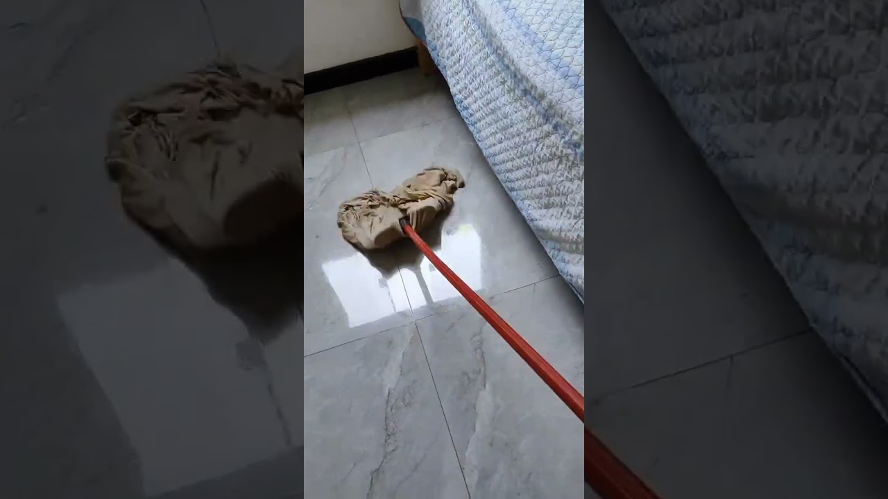 fui espulsada da minha casa #limpeza #organiza&ccedil;&atilde;o #trai&ccedil;&atilde;o #diadia
