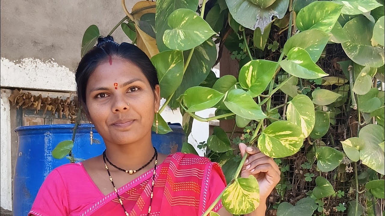 आज मायने केली चिल्याची भाजी 😊