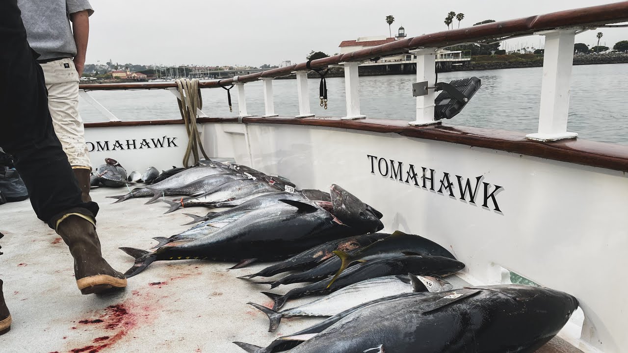 Сан-Диего | Tomahawk Sportfishing | Мой первый ночной клев и потеря голубого тунца